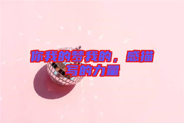你我的夢(mèng)我的，感描寫(xiě)的力量