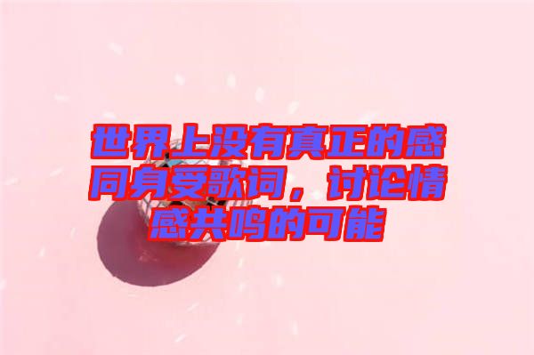 世界上沒有真正的感同身受歌詞，討論情感共鳴的可能