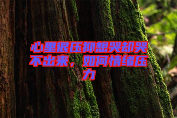 心里很壓抑想哭卻哭不出來，如何情緒壓力