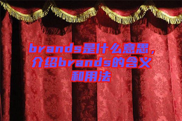 brands是什么意思，介紹brands的含義和用法