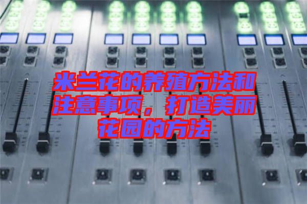 米蘭花的養(yǎng)殖方法和注意事項(xiàng)，打造美麗花園的方法