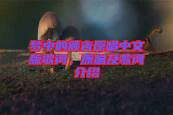 夢(mèng)中的額吉原唱中文版歌詞，原唱及歌詞介紹