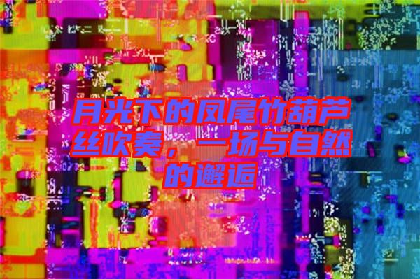 月光下的鳳尾竹葫蘆絲吹奏，一場與自然的邂逅