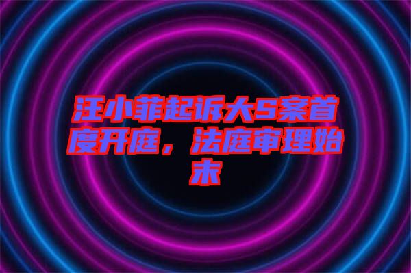 汪小菲起訴大S案首度開庭，法庭審理始末