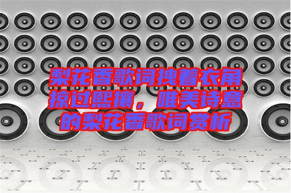 梨花香歌詞拽著衣角掠過(guò)熙攘，唯美詩(shī)意的梨花香歌詞賞析