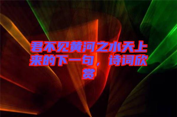 君不見(jiàn)黃河之水天上來(lái)的下一句，詩(shī)詞欣賞