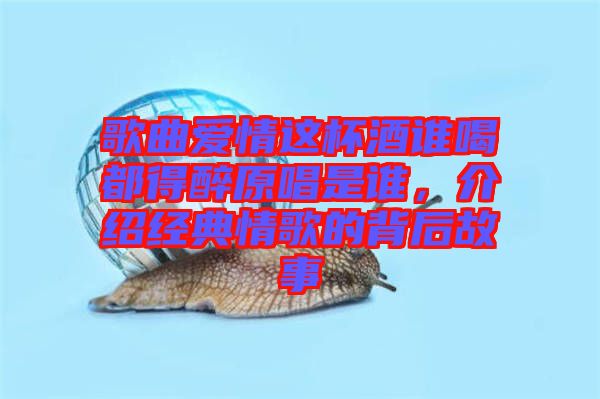 歌曲愛情這杯酒誰喝都得醉原唱是誰，介紹經(jīng)典情歌的背后故事