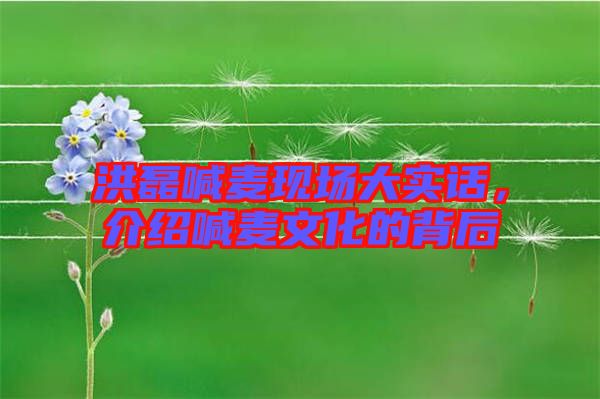 洪磊喊麥現(xiàn)場大實(shí)話，介紹喊麥文化的背后