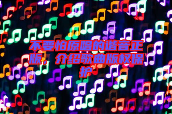 不要怕原唱的諧音正版，介紹歌曲版權(quán)保護(hù)
