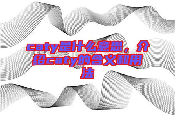 caty是什么意思，介紹caty的含義和用法