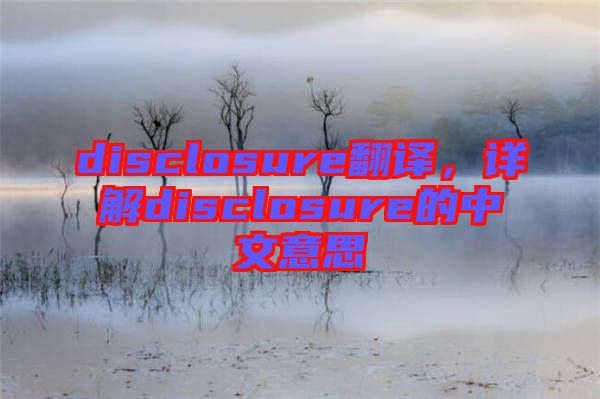 disclosure翻譯，詳解disclosure的中文意思