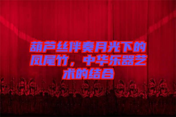 葫蘆絲伴奏月光下的鳳尾竹，中華樂(lè)器藝術(shù)的結(jié)合
