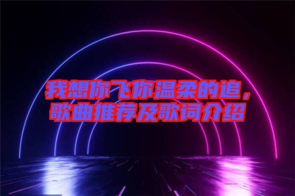 我想你飛你溫柔的追，歌曲推薦及歌詞介紹