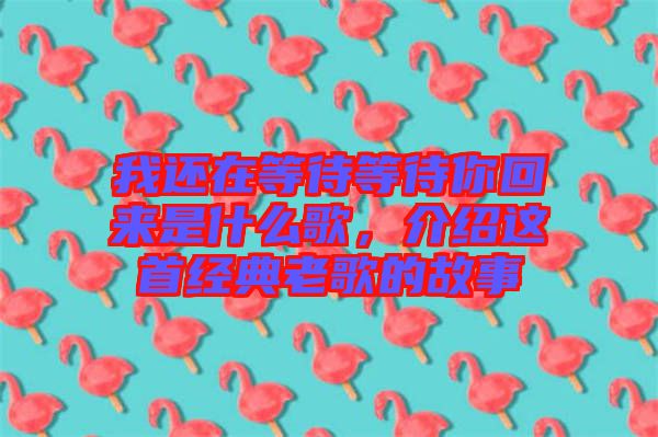 我還在等待等待你回來(lái)是什么歌，介紹這首經(jīng)典老歌的故事