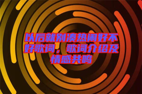 以后就別湊熱鬧好不好歌詞，歌詞介紹及情感共鳴