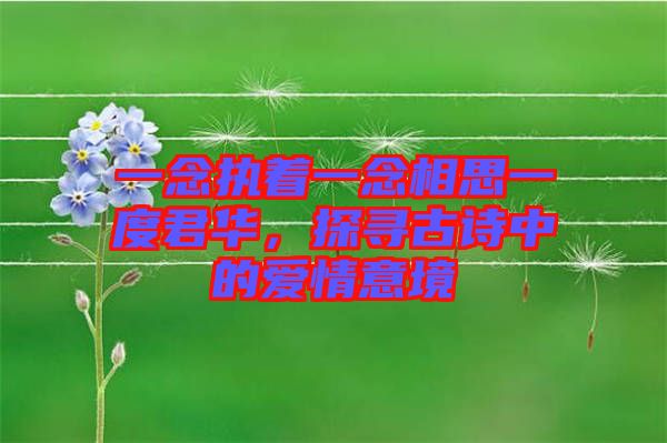一念執(zhí)著一念相思一度君華，探尋古詩中的愛情意境