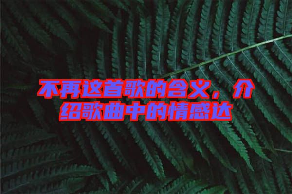不再這首歌的含義，介紹歌曲中的情感達(dá)