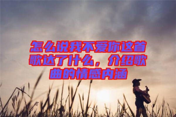 怎么說我不愛你這首歌達(dá)了什么，介紹歌曲的情感內(nèi)涵