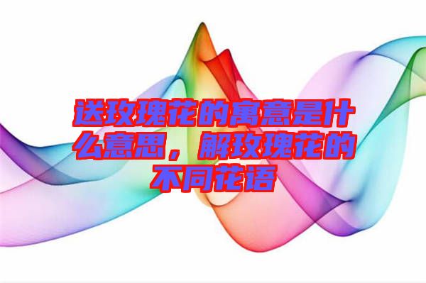 送玫瑰花的寓意是什么意思，解玫瑰花的不同花語