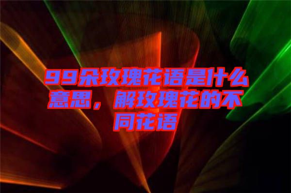 99朵玫瑰花語是什么意思，解玫瑰花的不同花語
