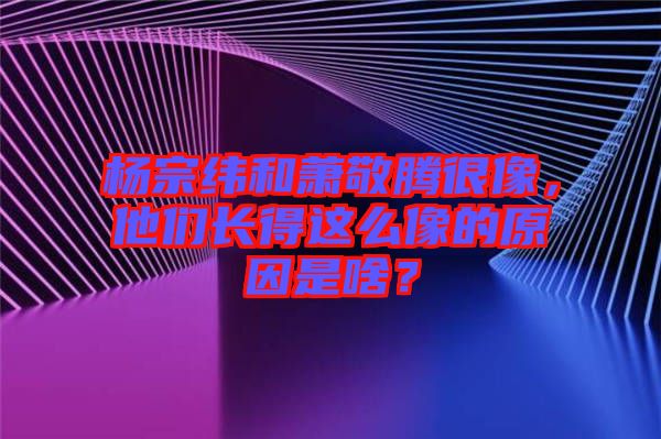 楊宗緯和蕭敬騰很像，他們長得這么像的原因是啥？