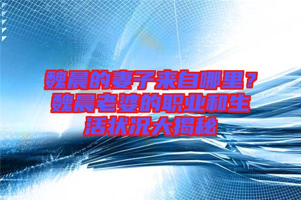魏晨的妻子來自哪里？魏晨老婆的職業(yè)和生活狀況大揭秘