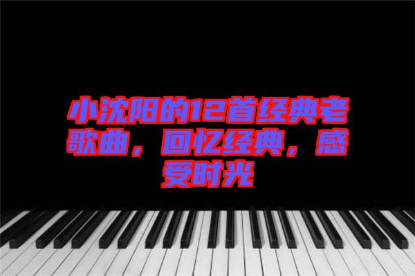 小沈陽的12首經(jīng)典老歌曲，回憶經(jīng)典，感受時(shí)光