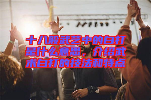 十八般武藝中的白打是什么意思，介紹武術(shù)白打的技法和特點(diǎn)