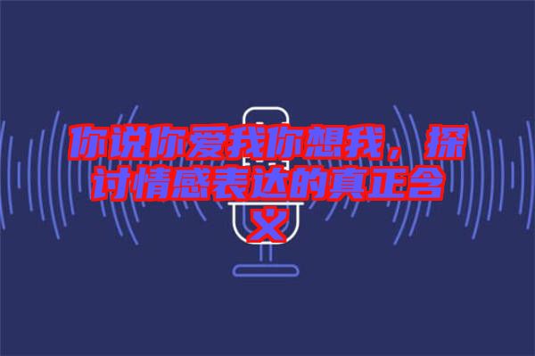 你說你愛我你想我，探討情感表達的真正含義