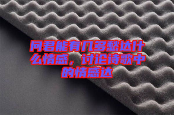 問君能有幾多愁達(dá)什么情感，討論詩歌中的情感達(dá)