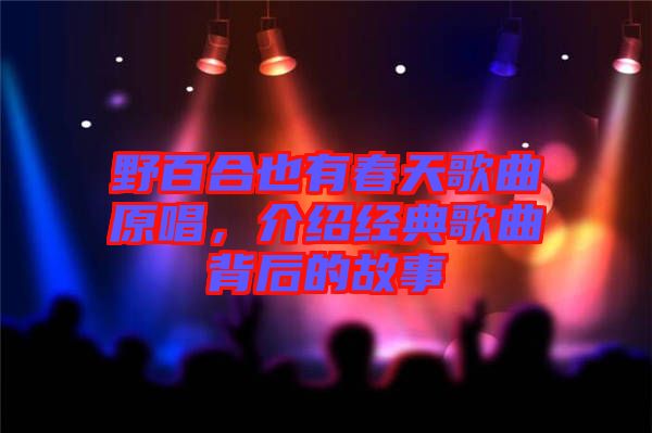 野百合也有春天歌曲原唱，介紹經(jīng)典歌曲背后的故事