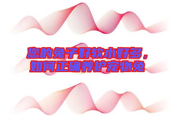 您的兔子好軟水好多，如何正確養(yǎng)護寵物兔