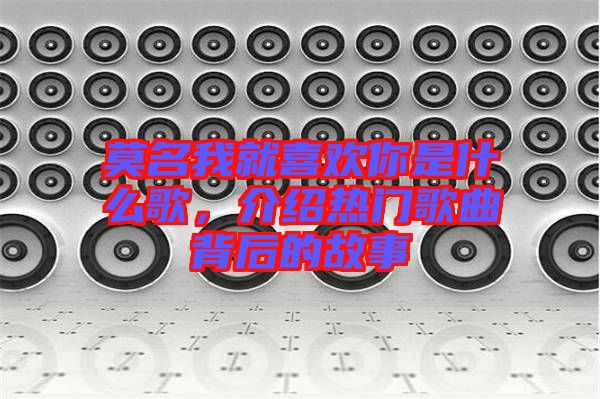 莫名我就喜歡你是什么歌，介紹熱門歌曲背后的故事