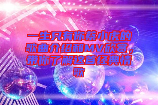 一生只有你蔡小虎的歌曲介紹和MV欣賞，帶你了解這首經(jīng)典情歌