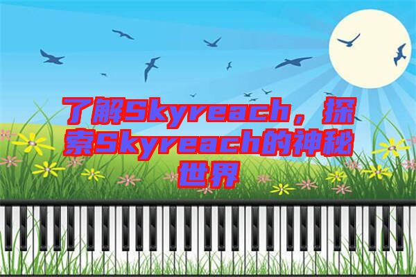 了解Skyreach，探索Skyreach的神秘世界