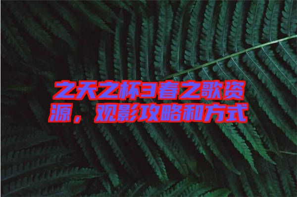 之天之杯3春之歌資源，觀影攻略和方式