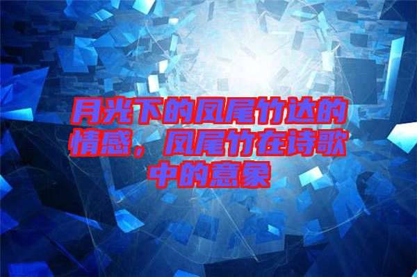 月光下的鳳尾竹達(dá)的情感，鳳尾竹在詩(shī)歌中的意象