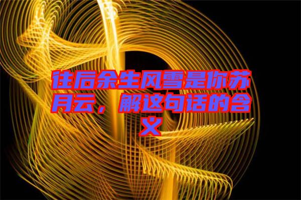 往后余生風(fēng)雪是你蘇月云，解這句話(huà)的含義