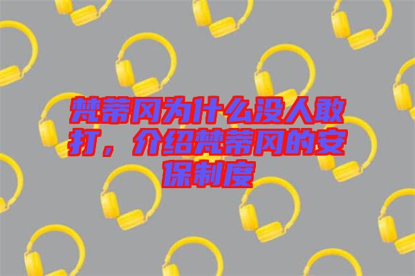 梵蒂岡為什么沒人敢打，介紹梵蒂岡的安保制度