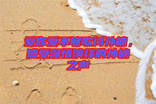愛你愛不夠歌詞孫楠，感受深情演繹的孫楠之聲
