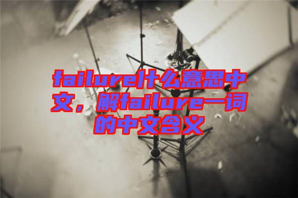 failure什么意思中文，解failure一詞的中文含義