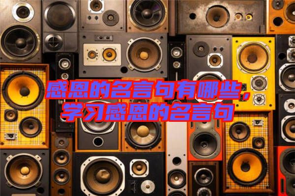 感恩的名言句有哪些，學(xué)習(xí)感恩的名言句