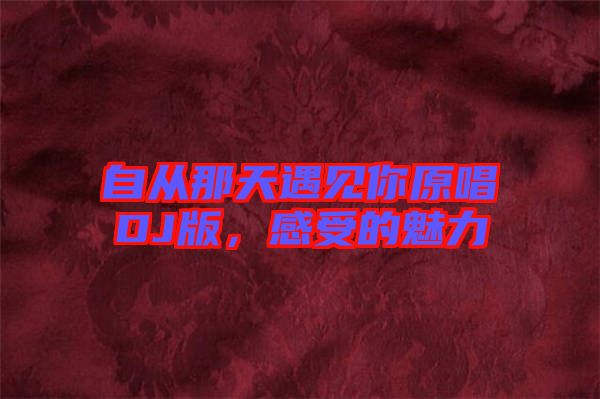 自從那天遇見你原唱DJ版，感受的魅力
