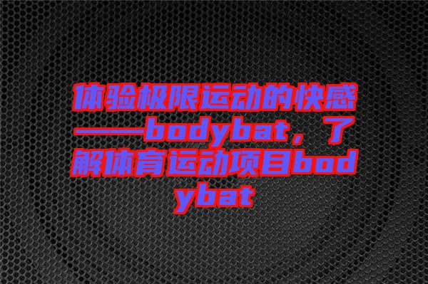 體驗極限運動的快感——bodybat，了解體育運動項目bodybat
