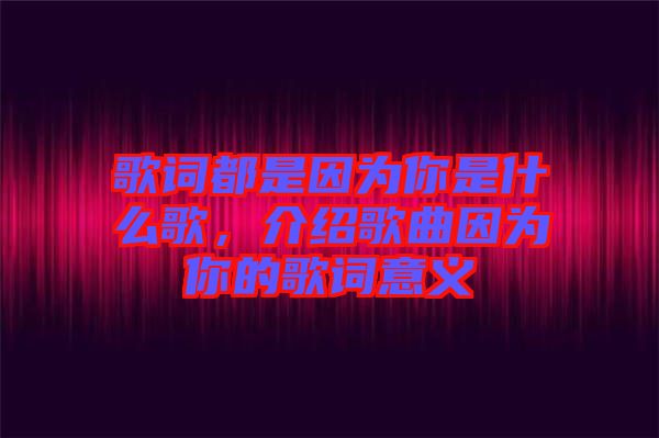歌詞都是因為你是什么歌，介紹歌曲因為你的歌詞意義
