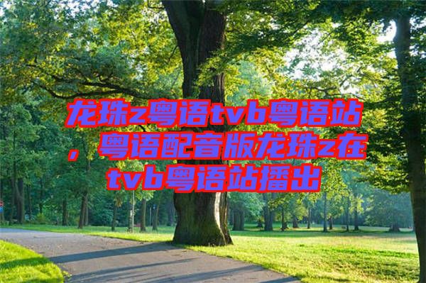 龍珠z粵語tvb粵語站，粵語配音版龍珠z在tvb粵語站播出