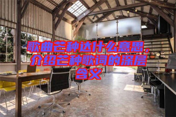 歌曲芒種達什么意思，介紹芒種歌詞的深層含義