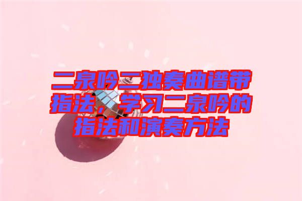 二泉吟二獨(dú)奏曲譜帶指法，學(xué)習(xí)二泉吟的指法和演奏方法