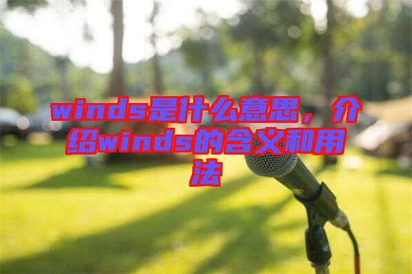 winds是什么意思，介紹winds的含義和用法