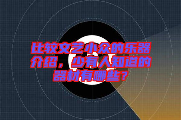 比較文藝小眾的樂器介紹，少有人知道的器材有哪些？